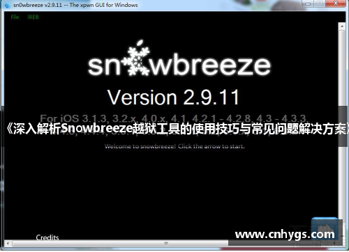 《深入解析Snowbreeze越狱工具的使用技巧与常见问题解决方案》