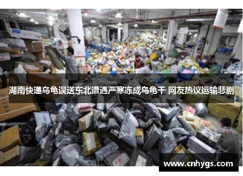 湖南快递乌龟误送东北遭遇严寒冻成乌龟干 网友热议运输悲剧 湖南快递乌龟误送东北遭遇严寒冻成乌龟干 网友热议运输悲剧