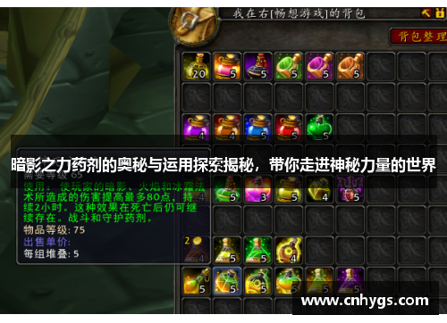 暗影之力药剂的奥秘与运用探索揭秘，带你走进神秘力量的世界